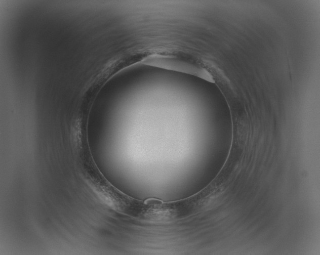 X0000073900260200608251505