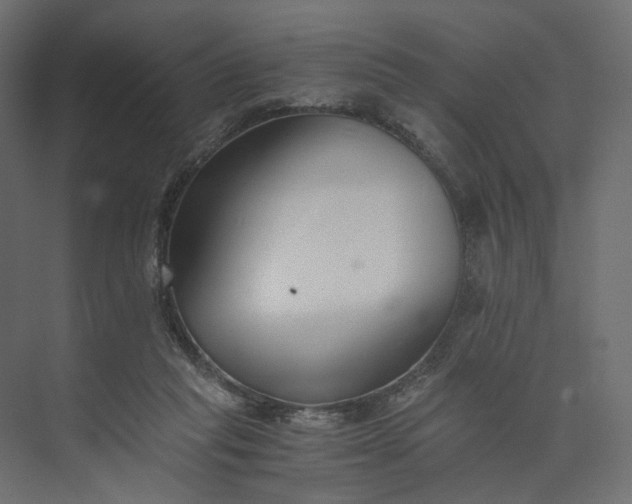 X0000073900261200608251505