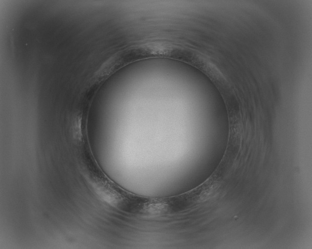 X0000073900262200608251505