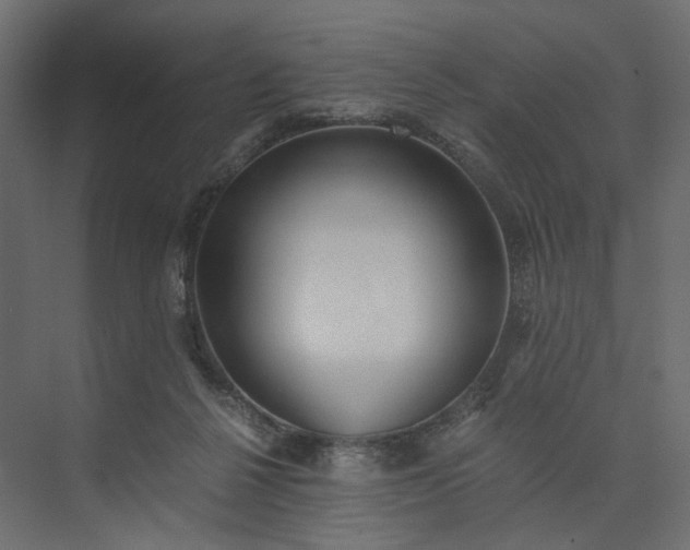 X0000073900264200608251505