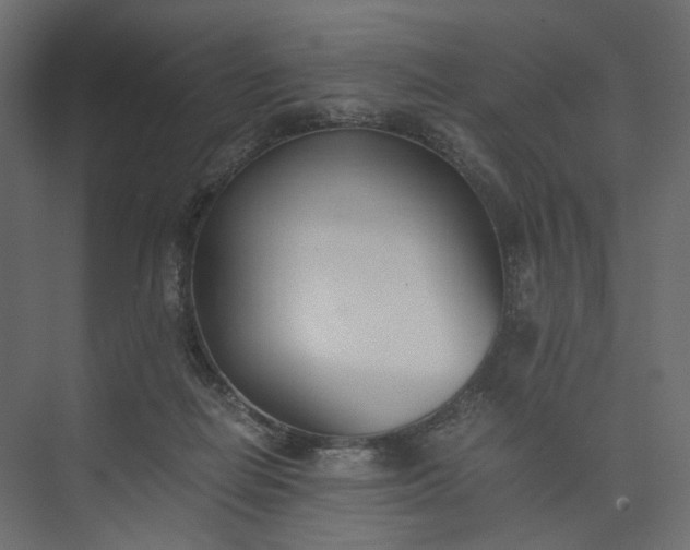 X0000073900266200608251505