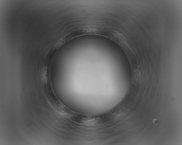 X0000073900267200608251505