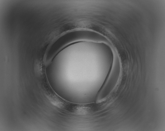 X0000073900268200608251505