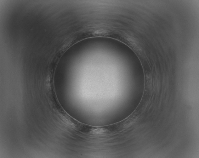 X0000073900269200608251505