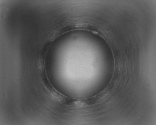 X0000073900272200608251505