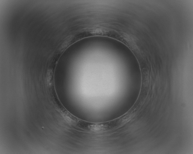 X0000073900273200608251505