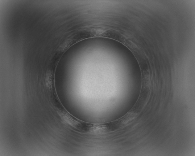 X0000073900274200608251505