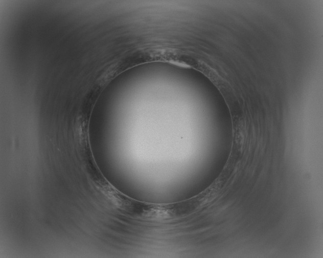 X0000073900276200608251505