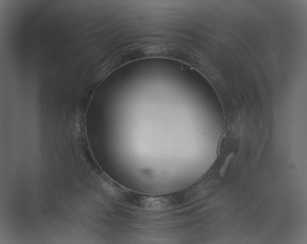 X0000073900277200608251505