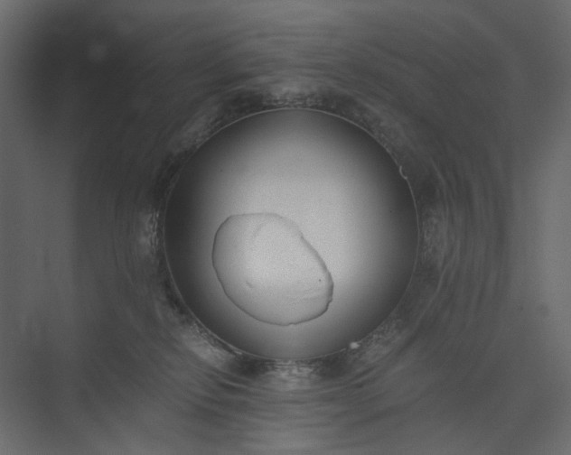 X0000073900278200608251505