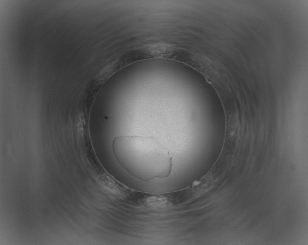 X0000073900279200608251505