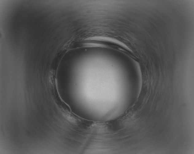 X0000073900280200608251505