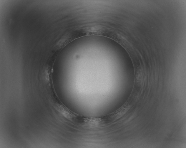 X0000073900282200608251505