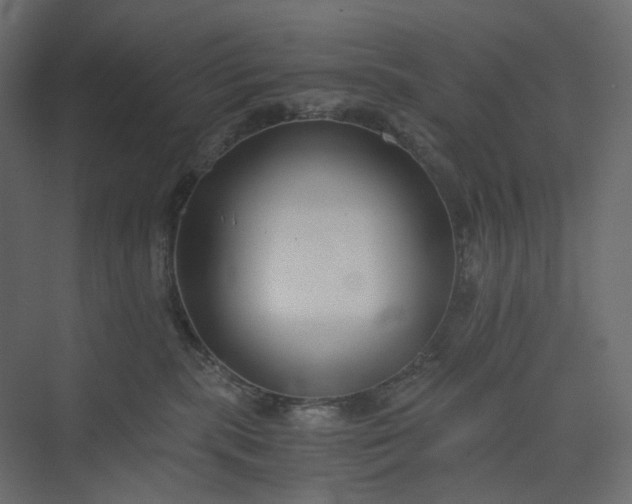 X0000073900283200608251505