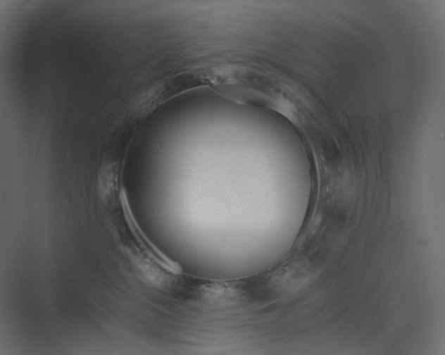 X0000073900284200608251505