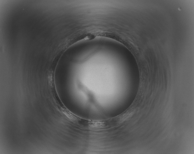 X0000073900288200608251505