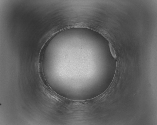 X0000073900290200608251504