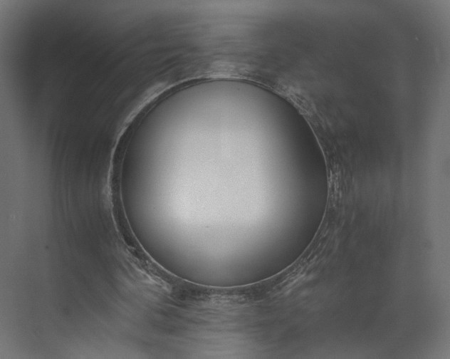 X0000073900292200608251504