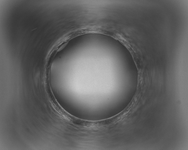 X0000073900293200608251504