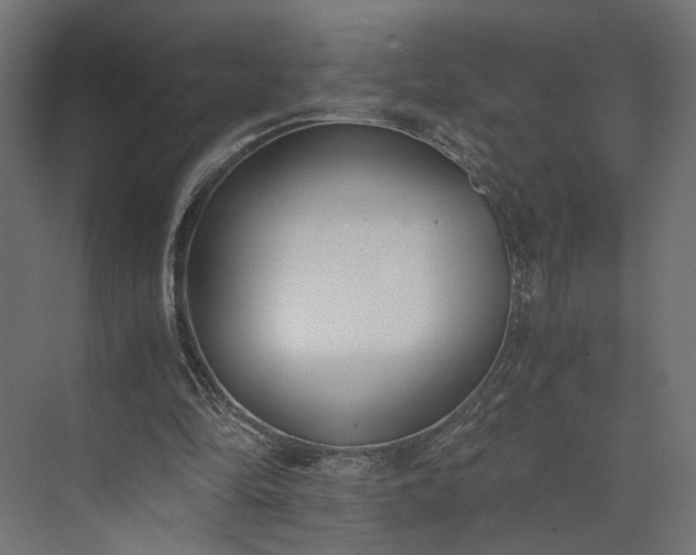 X0000073900294200608251504