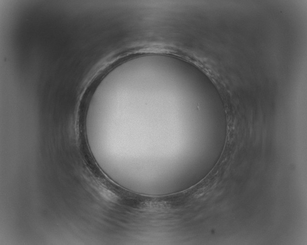 X0000073900296200608251504