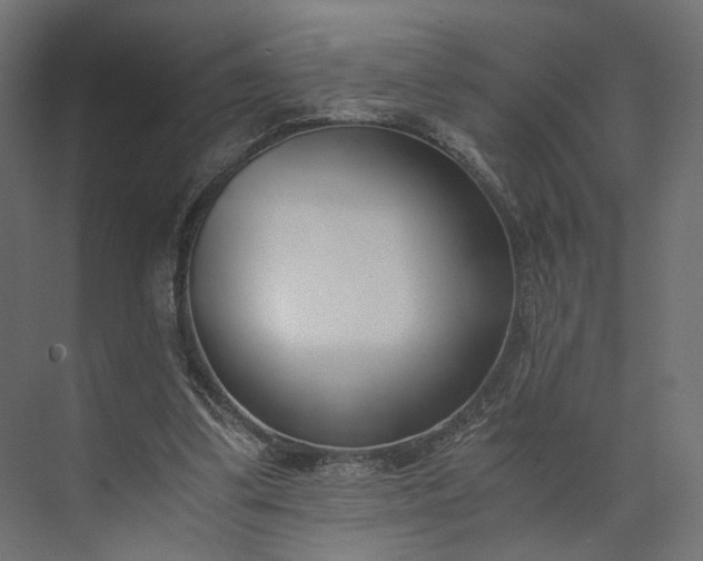 X0000073900299200608251504