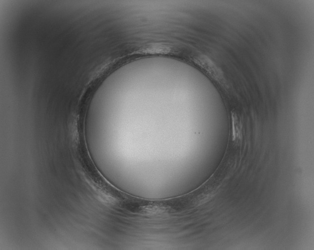 X0000073900300200608251504