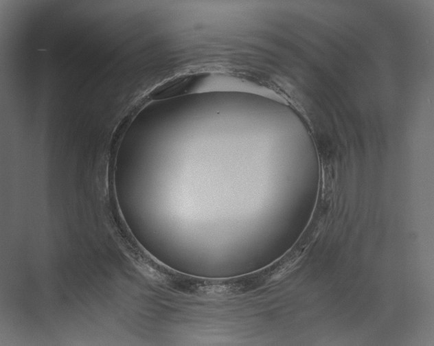 X0000073900301200608251504