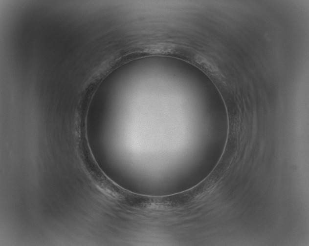 X0000073900303200608251504