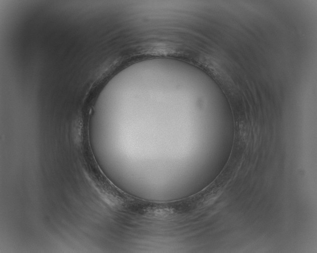 X0000073900304200608251504