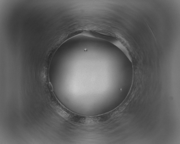 X0000073900305200608251504