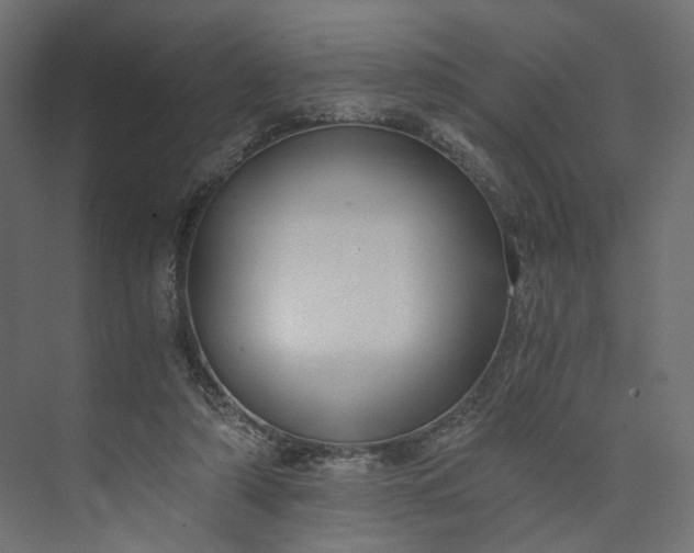 X0000073900306200608251504