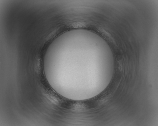 X0000073900308200608251504