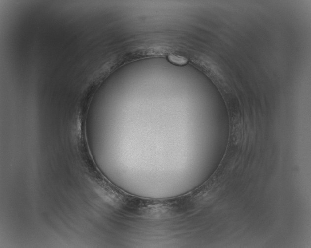 X0000073900310200608251504