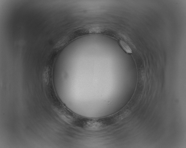 X0000073900311200608251504