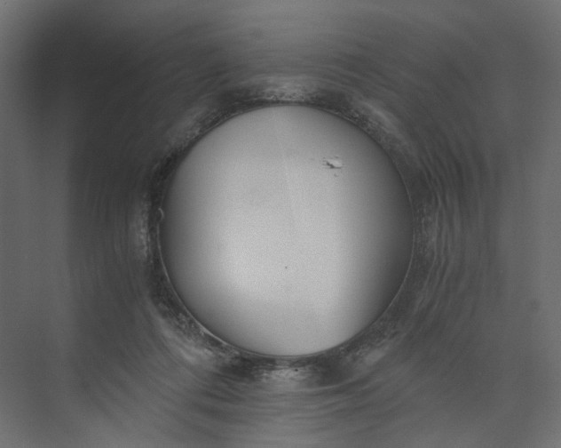 X0000073900312200608251504