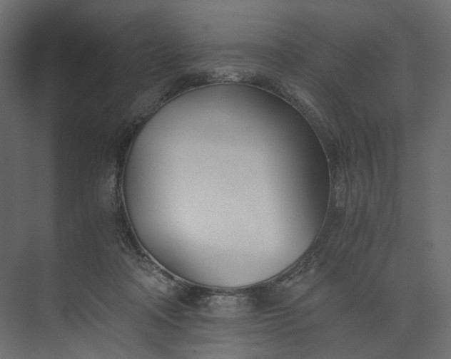 X0000073900314200608251504