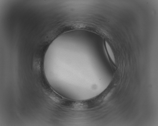 X0000073900315200608251504