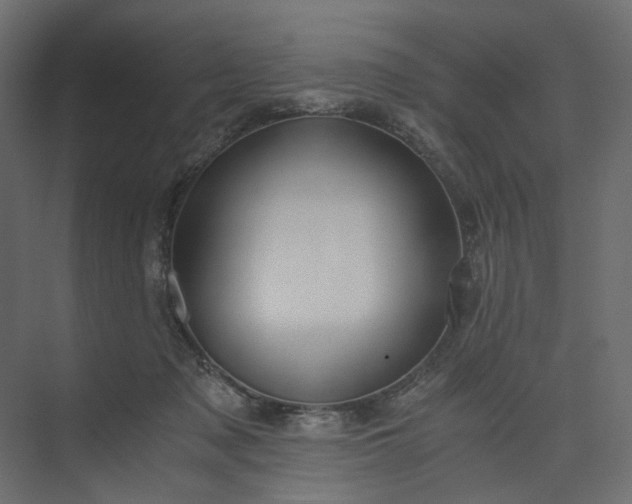 X0000073900317200608251504