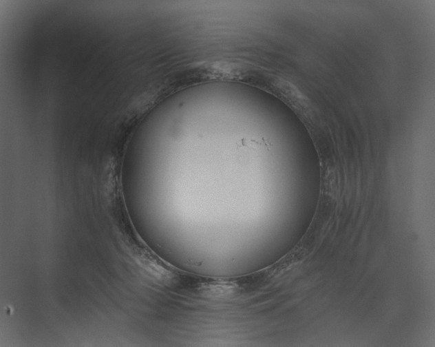 X0000073900318200608251504