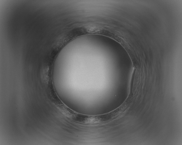 X0000073900319200608251504