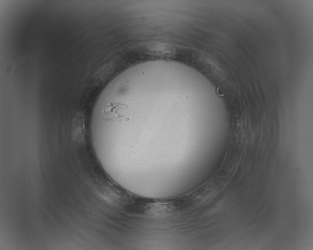 X0000073900320200608251504