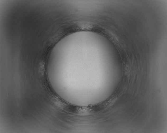 X0000073900321200608251504