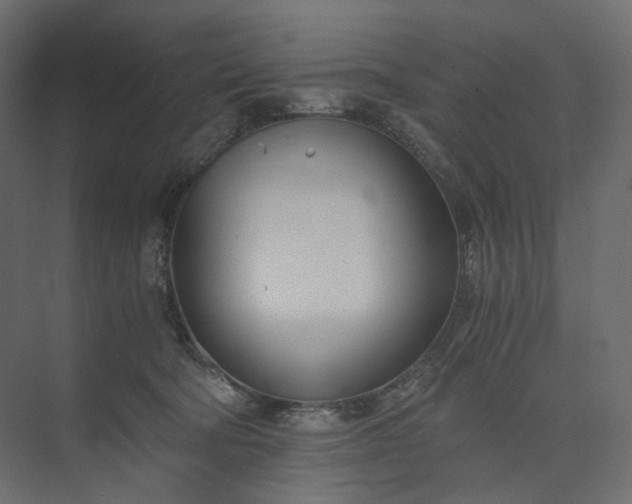 X0000073900322200608251504