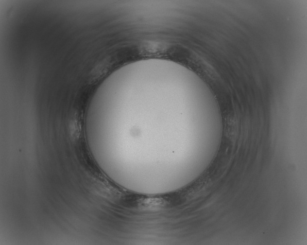 X0000073900324200608251504