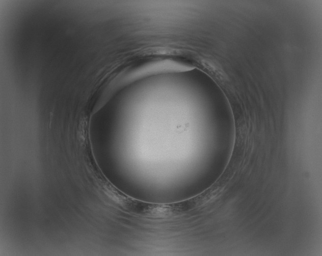 X0000073900325200608251504