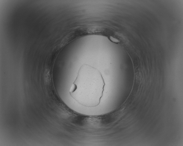 X0000073900327200608251504