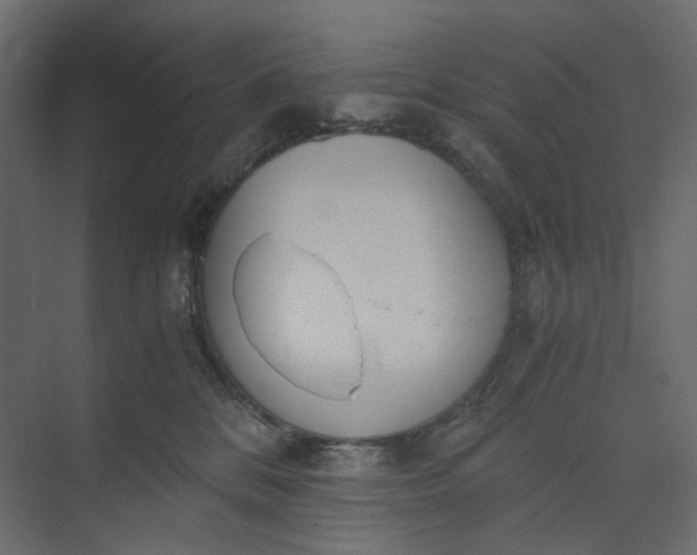 X0000073900328200608251504