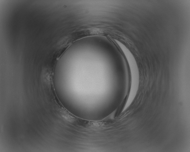 X0000073900329200608251504