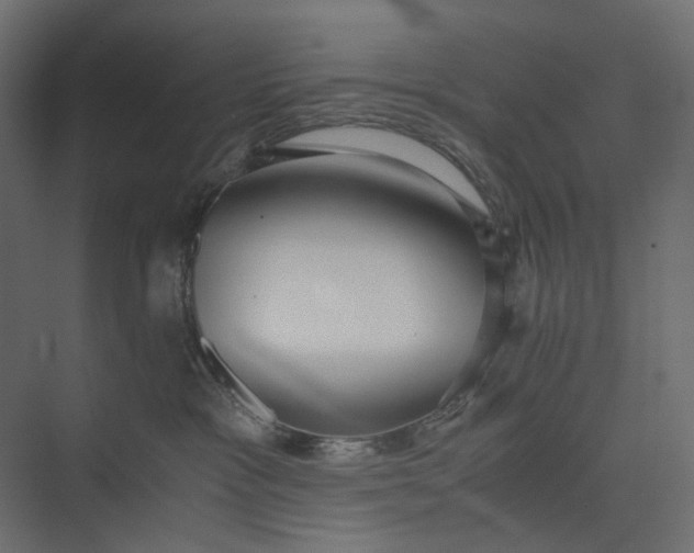 X0000073900333200608251504